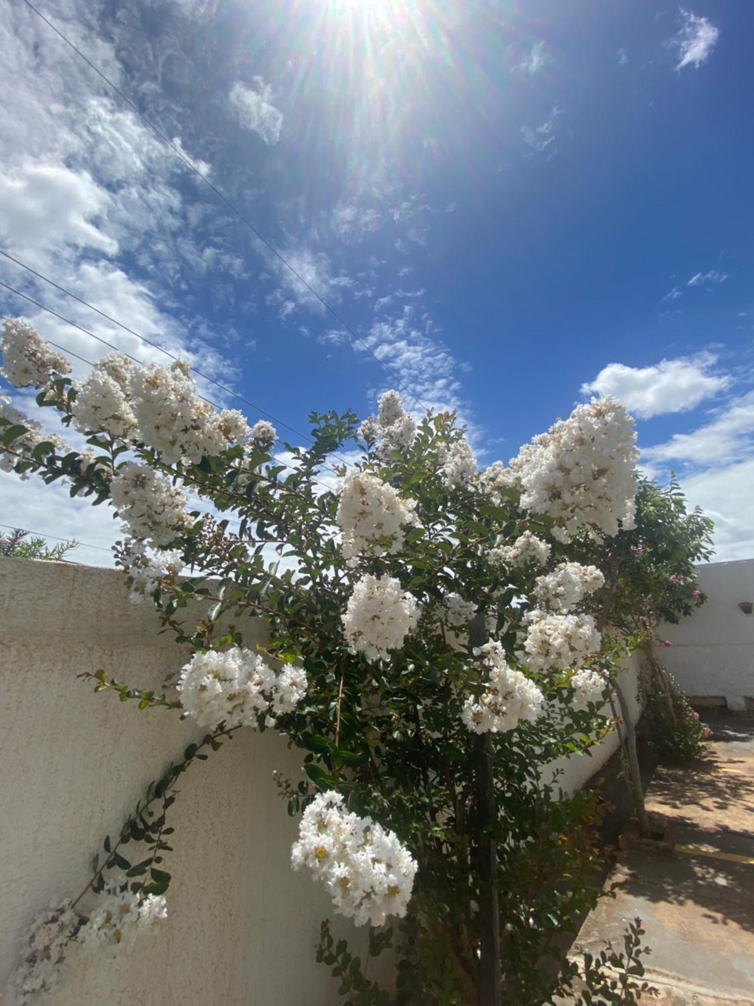 Queiroz Palace Hotel Siqueira Campos المظهر الخارجي الصورة
